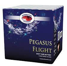 Celtic Fireworks Pegasus Flight - £51.99