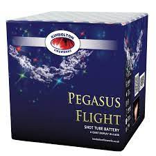 Celtic Fireworks Pegasus Flight - £51.99